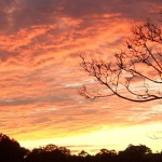 Maleny Luxury Cabins Sunset